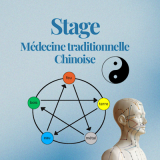 Stages « Médecine Traditionnelle Chinoise » en 2026