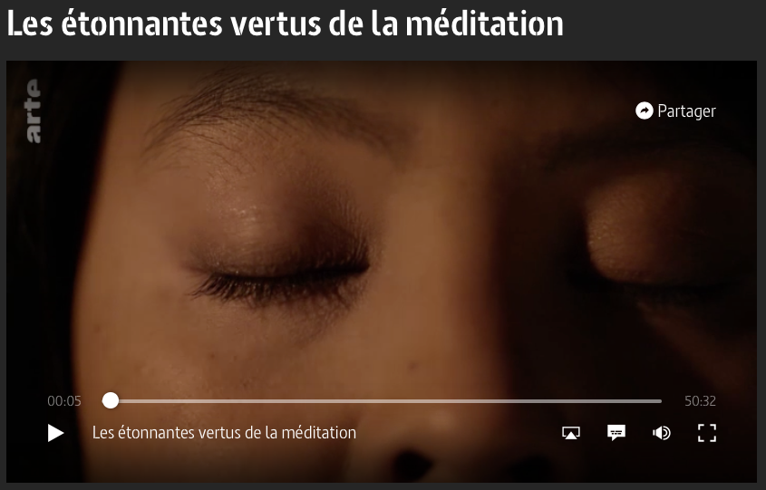 Documentaire : les étonnantes vertus de la méditation - Arte